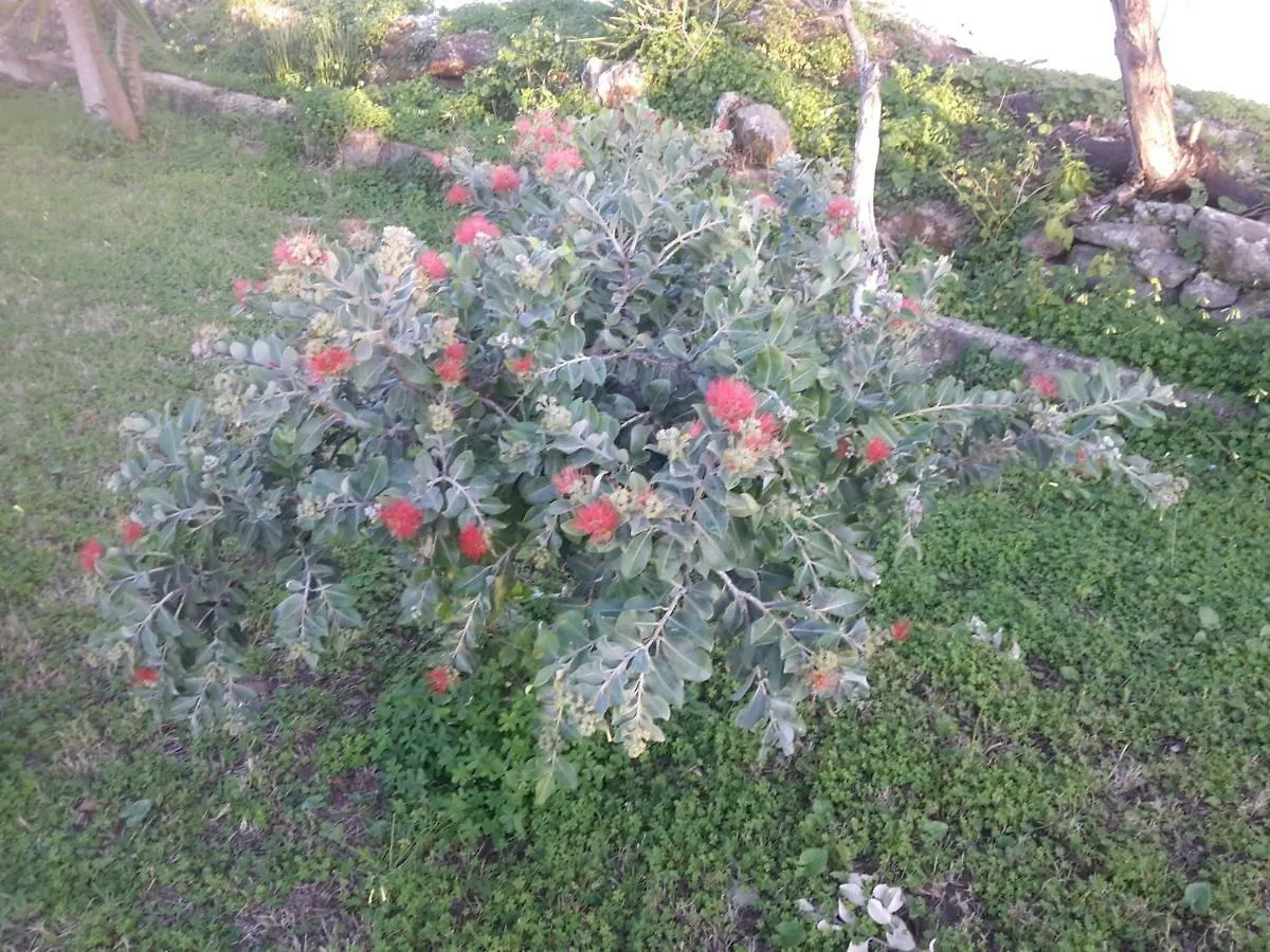 Casa Vacanze Margherita Terrasini Semesterbostad